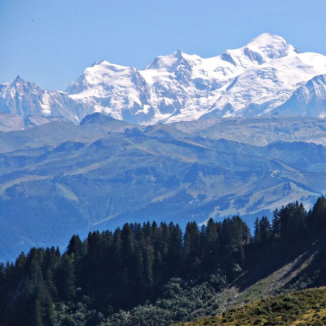 Mont Blanc from Le-Praz-de-Lys, Praz De Lys Sommand