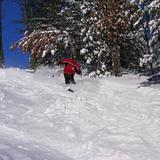 Red Skier, USA - Wisconsin