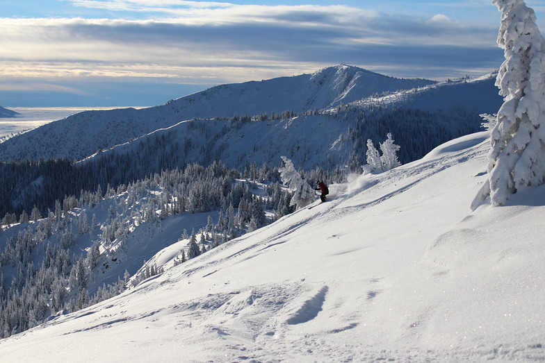 Bluebird Powder, Apex Resort