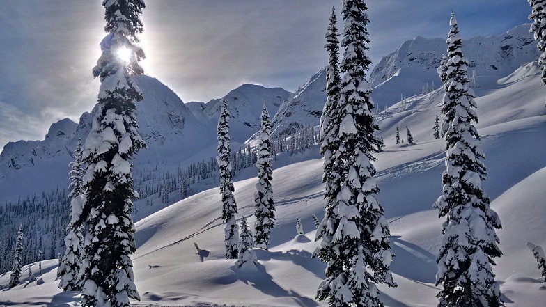 Fresh powder, Island Lake Catskiing