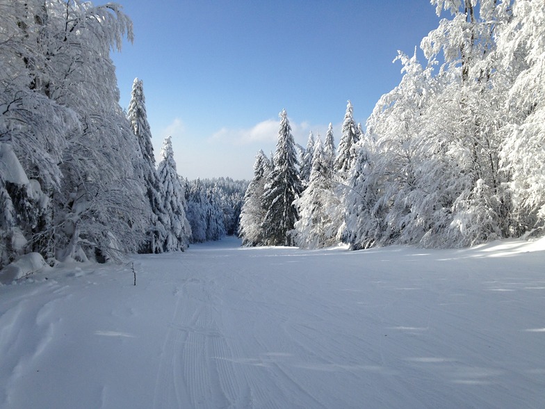 les airelles, Ventron