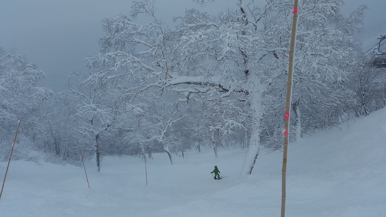 Teine highland, Sapporo Teine