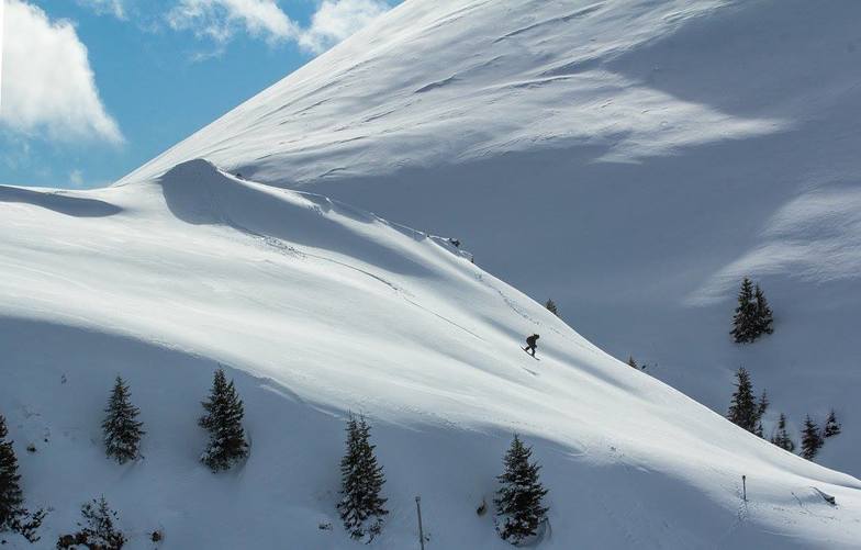 Fresh Lines, Sinaia