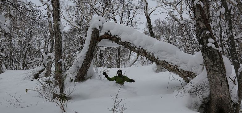 Tree run Rusutsu, Rusutsu Resort