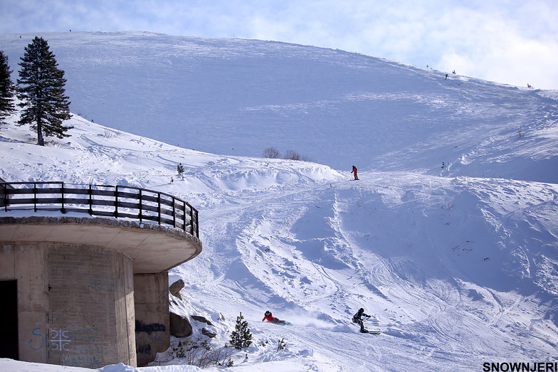 Mid section, Brezovica