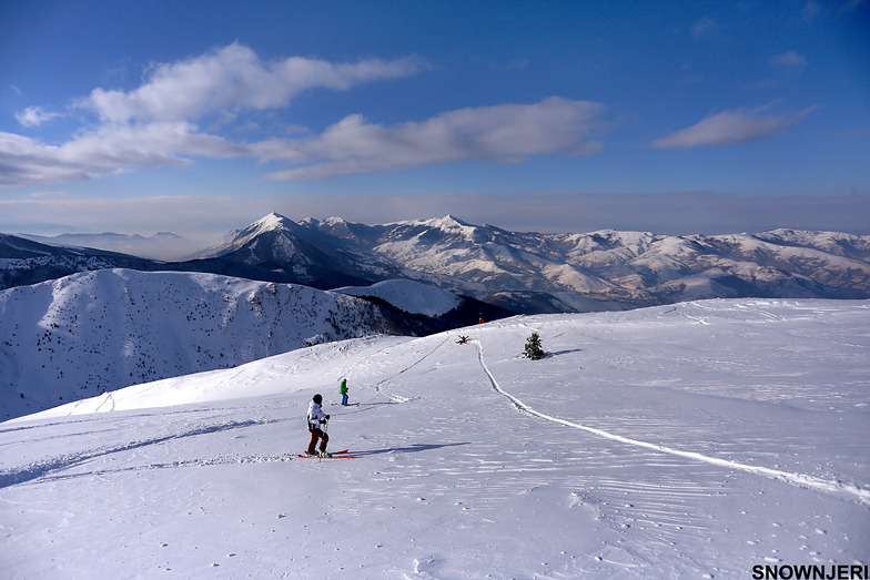 Perrocka, Brezovica