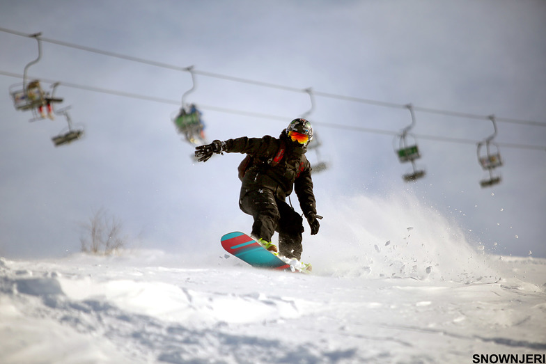 Genc Fona, Brezovica