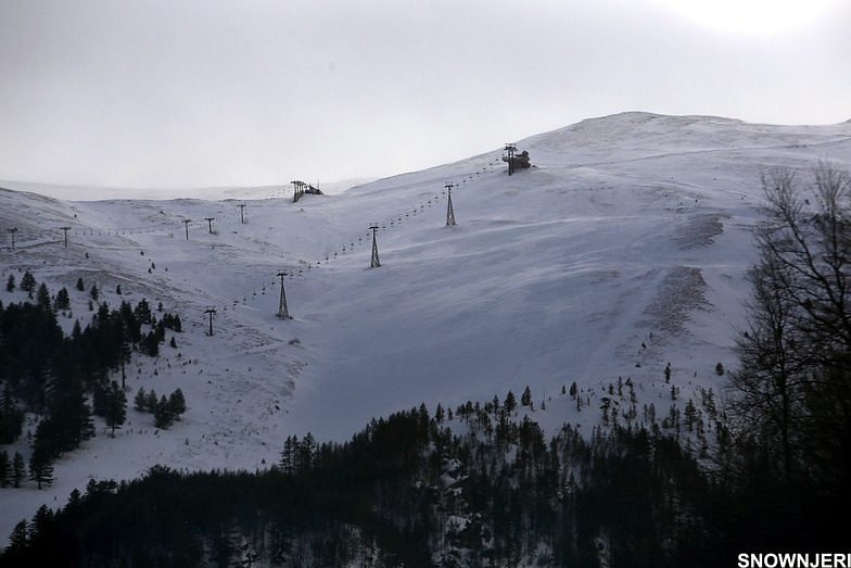 The meadow, Brezovica