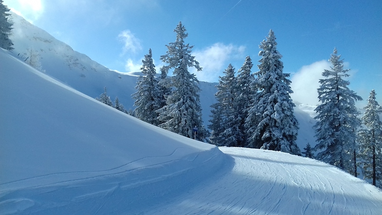 early morning, Alpbachtal