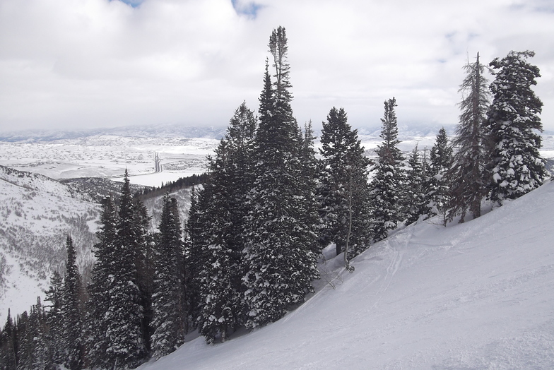 View from the Devil's Friend, The Canyons