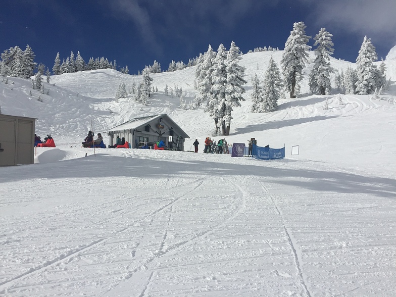 Mt Hood Meadows