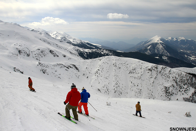 Potock bunch, Brezovica