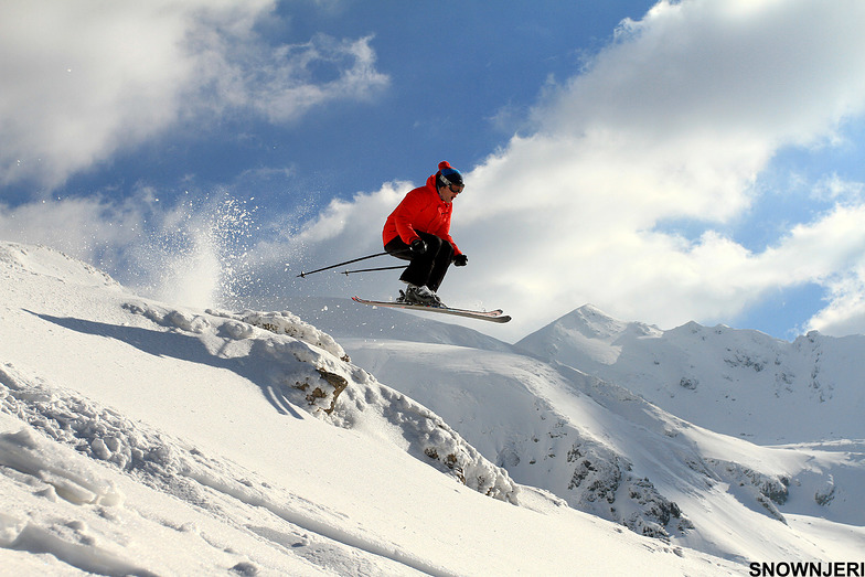 Red jacket fly, Brezovica