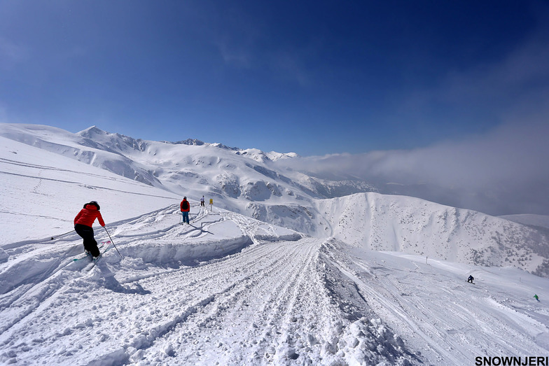 Path to Paradise, Brezovica