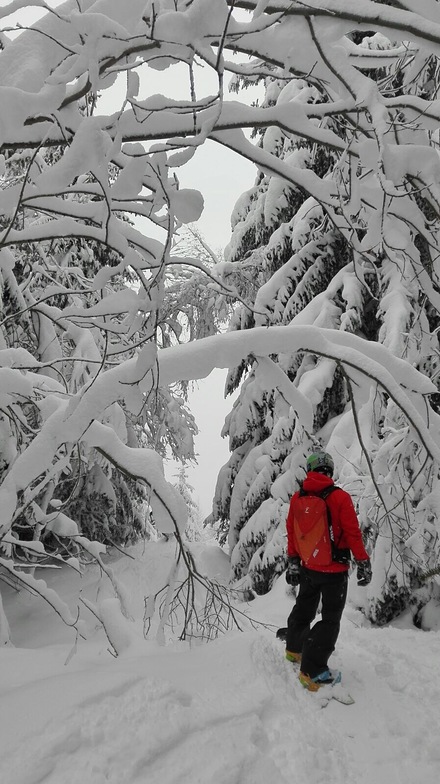 Wonder white land ......, Valfrejus