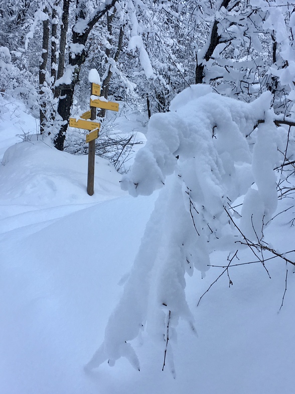 Winter walking in Meribel, Méribel