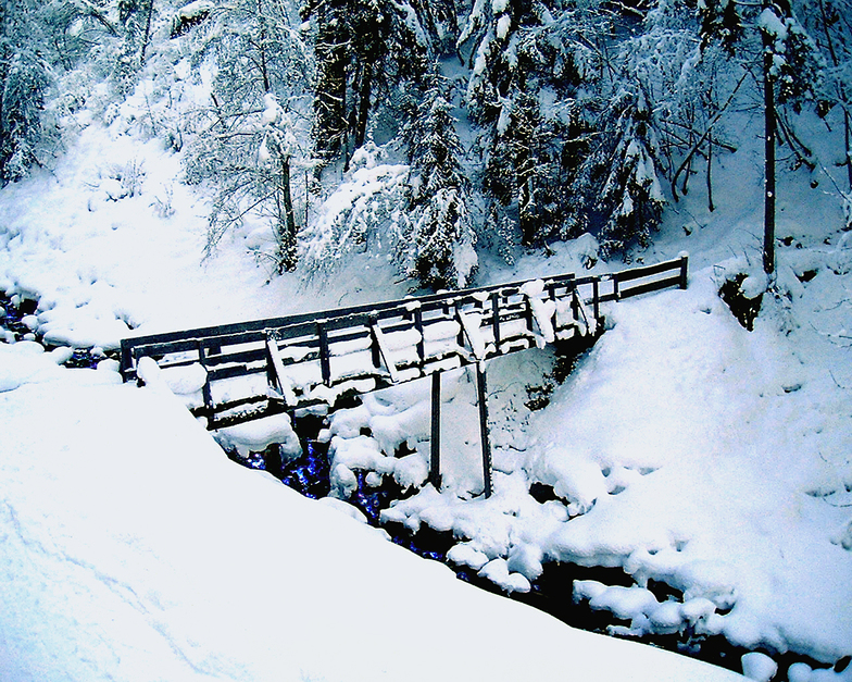 The old bridge, Hochkolber, Alpbachtal