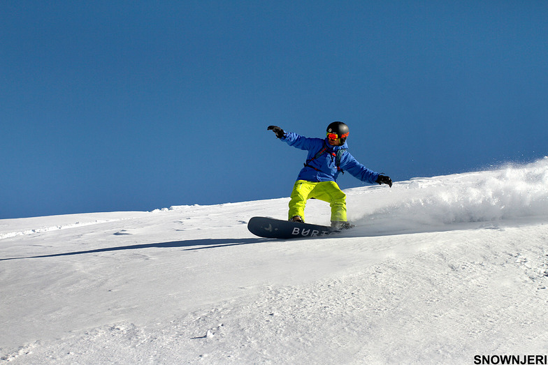 Phona Shred, Brezovica