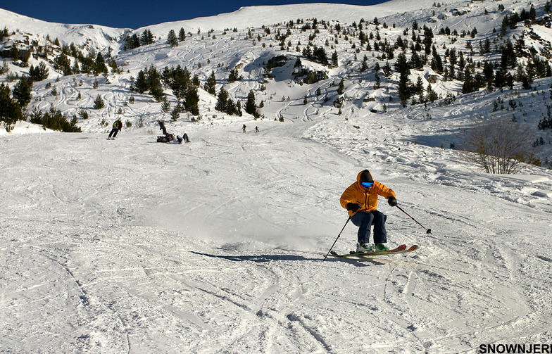 Speedy Bakalli, Brezovica