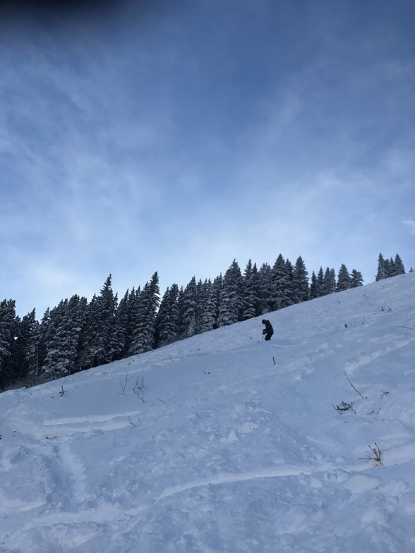 Lone Pine lower, Banff Mt Norquay