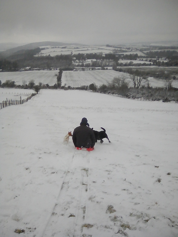 Gone to the dogs ;-), Knockanaffrin (Comeragh Mts)