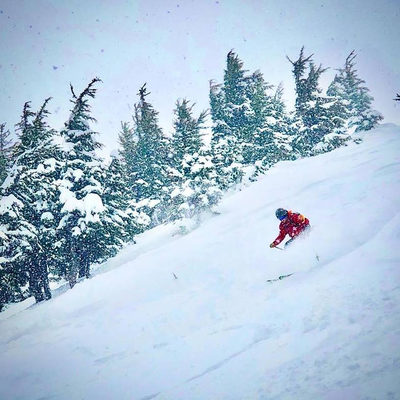 The most fresh snow in the world this week?, Alyeska Resort