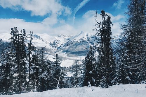 Livigno Ski Resort Guide | Snow-Forecast.com