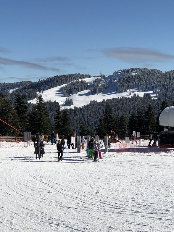 Ilgaz 2 Yurduntepe, Mt Ilgaz