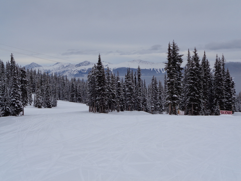 Mid Elevation Inversion, Marmot Basin