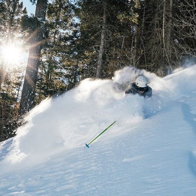 reporting 25cm (10 inches) of fresh snow in the past 24hrs, Taos