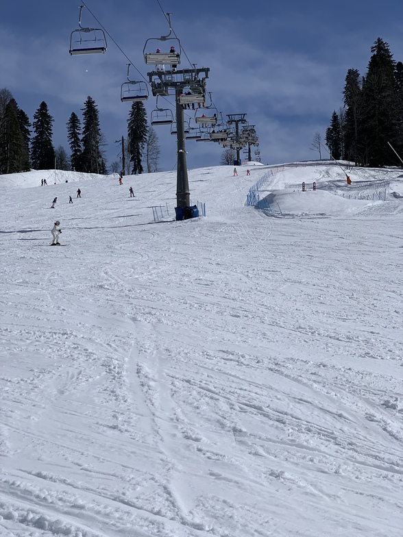 Gazprom Lifts, Лаура (Газпром)