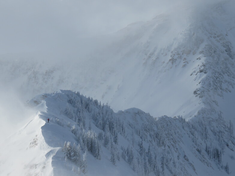 Ski Patrol, Snowbird