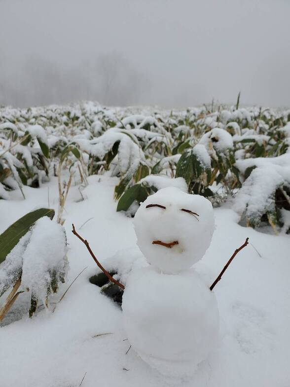 happy winter has arrived, Nozawa Onsen