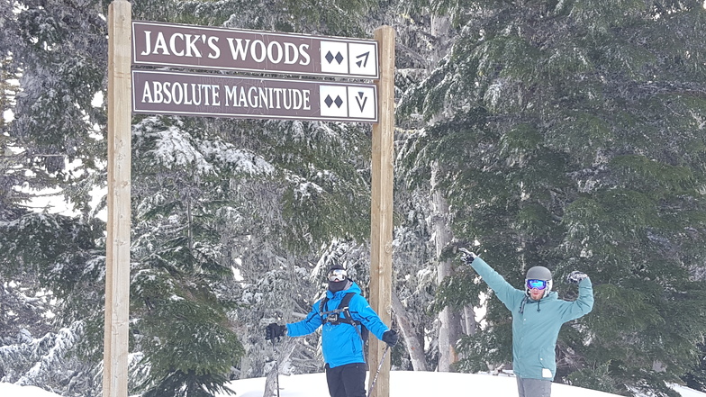 Jacks woods, Mt Hood Meadows