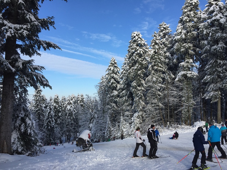 Ski day, Kozara