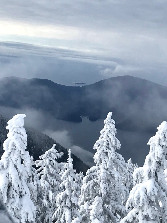 Bowen Island from Sky Chair lift, Cypress Mountain