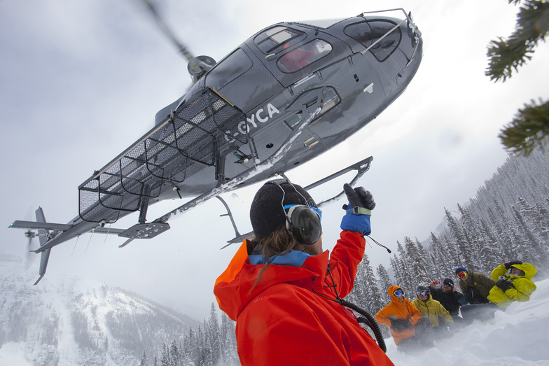 Adrenalin Descents heli drop ski touring, Kicking Horse