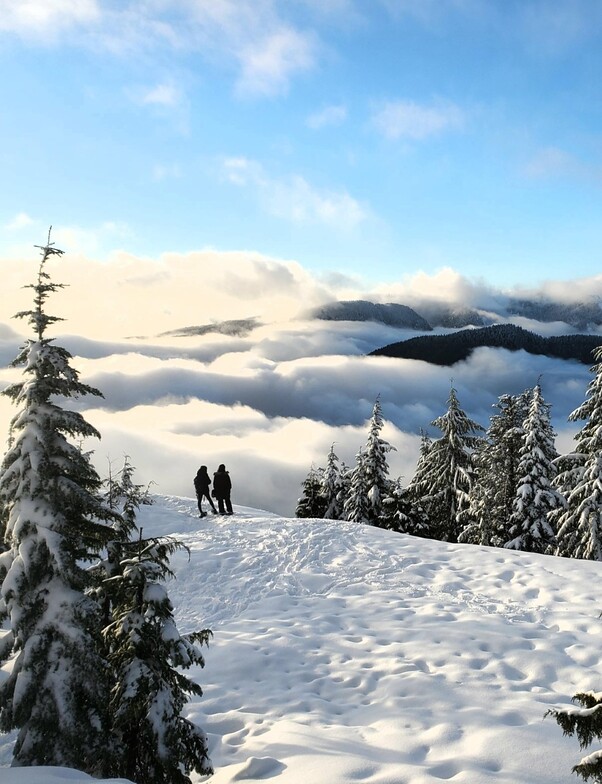 Above the clouds, Mt Seymour