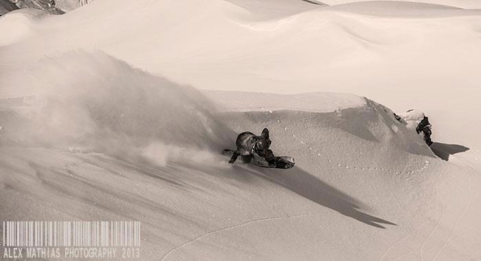 Follow The Wildlife, Sainte Foy