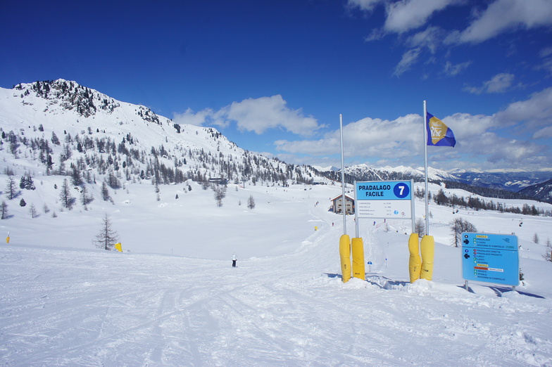 Pists, Madonna di Campiglio