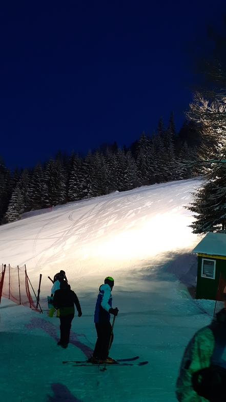 От начална на витошко лале1, Vitosha