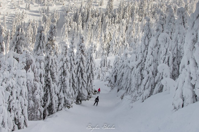 Straja Ski Resort