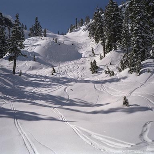 Big wide runs at Snoqualmie Pass Washington State, The Summit at Snoqualmie