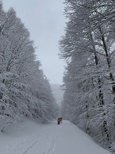 Vigla Pisoderi Ski Resort Guide | Snow-Forecast.com