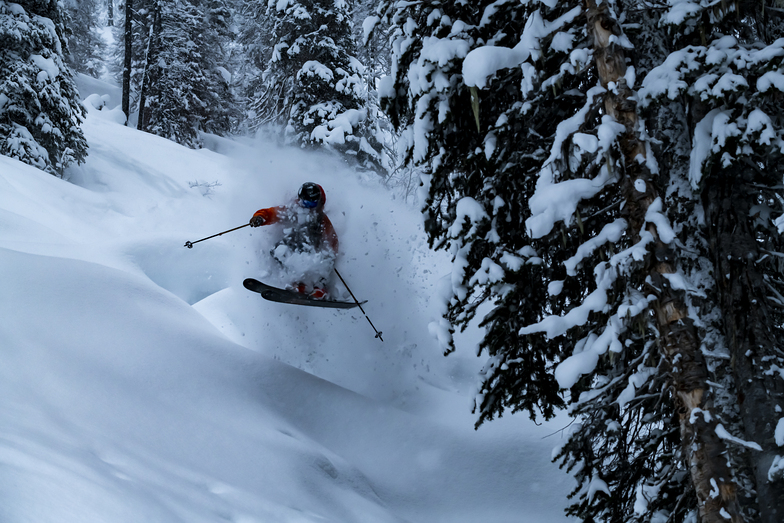 Tree Skiing!, Mica Heliskiing