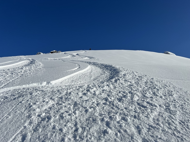 Freshies at Cardies, Cardrona