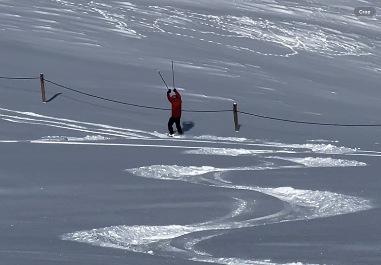 Willows Signature, Cardrona