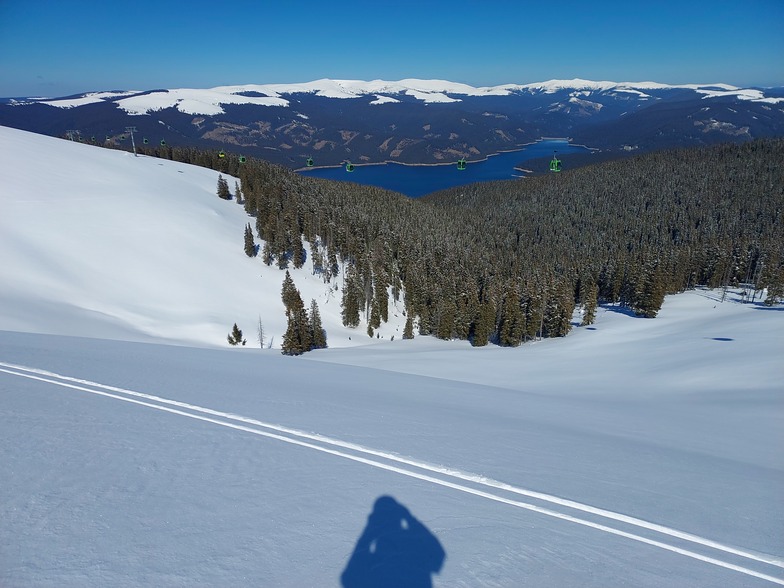 1, Vidra Transalpina