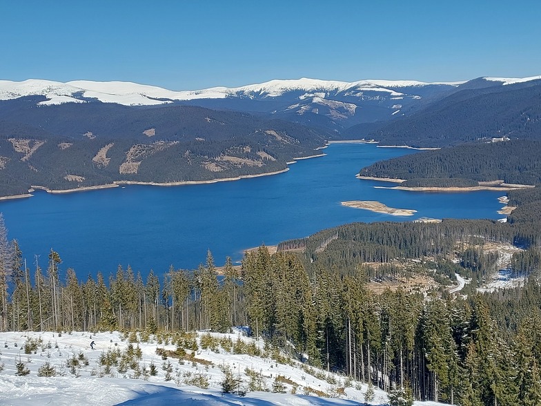 1, Vidra Transalpina