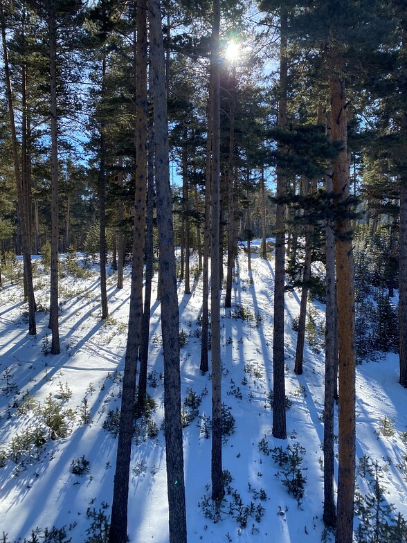 Sarikamis Ski Resort, Turkey, Sarıkamış